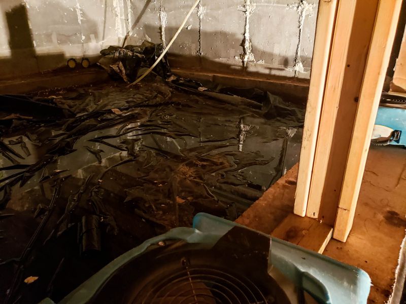 Basement Water Extraction in Santa Rosa, CA