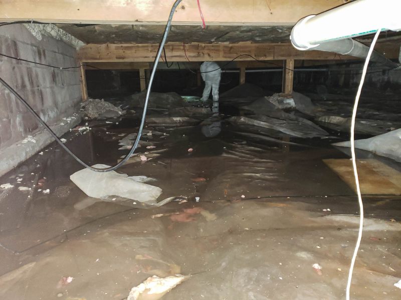 Basement Water Removal in Santa Rosa, CA