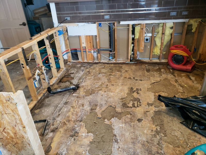 Storm Damage Cleanup in Chandler, AZ