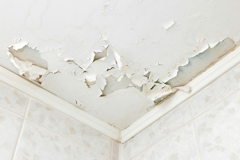 Water Damage Repair in Scottsdale, AZ