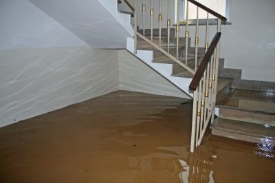 Basement Drying in Santa Rosa, CA