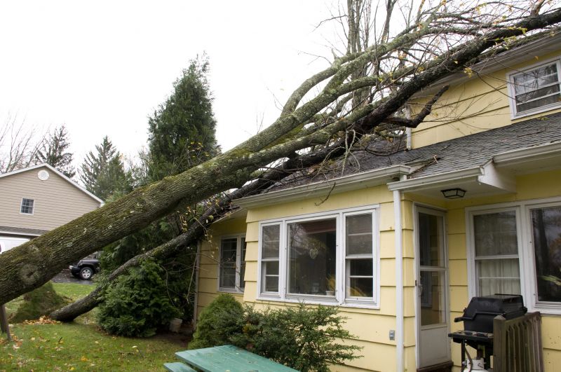 Property Damage Restoration in Kansas City, KS