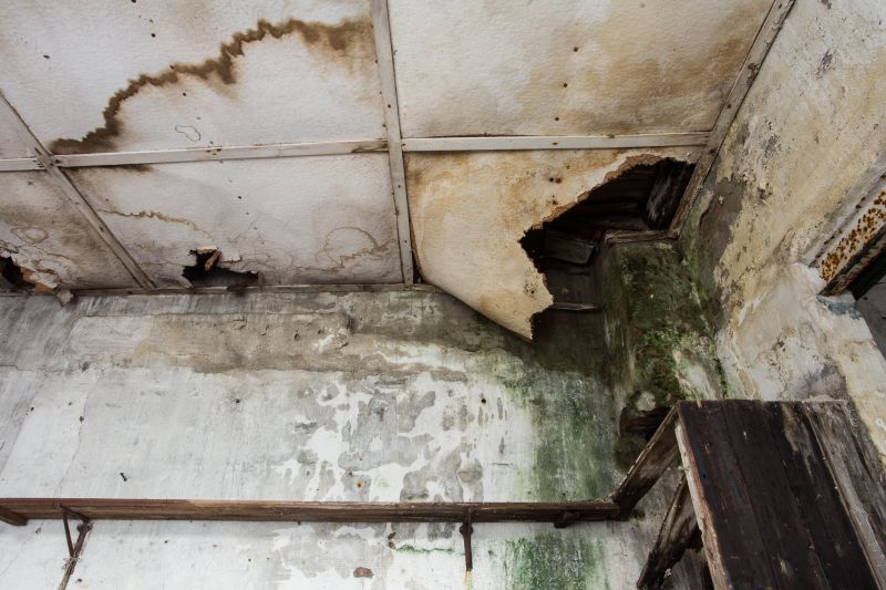 Water Damage Remediation in Chandler, AZ